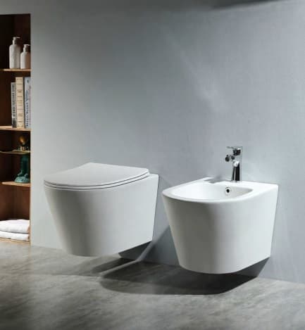 Cum aleg vasul WC suspendat: rimless, capac, cadru